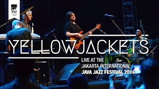 Yellowjackets Live at Java Jazz Festival 2016 [upl. by Sremlahc336]