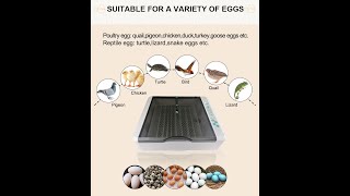 HHD New Design Automatic 36 Eggs Incubator [upl. by Ativahs]