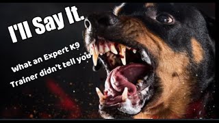 Only for Dog Nerds reactionvideo dogtraining [upl. by Egoreg260]