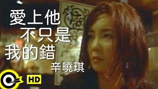 辛曉琪 Winnie Hsin【愛上他不只是我的錯 Its not only my fault to love you】Official Music Video [upl. by Ybanrab422]