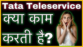 Tata Teleservice क्या काम करती है  TTML Detailed Video On Work  Stock Market News [upl. by Sperling]