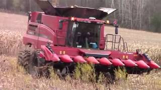 Harvesting Corn at Ridge View Farm 11618 [upl. by Morice9]