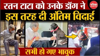 Ratan Tata Passes Away रतन टाटा को Dog ने इस तरह दी अंतिम विदाई  Ratan Tata Last Rites  Breaking [upl. by Hunfredo468]