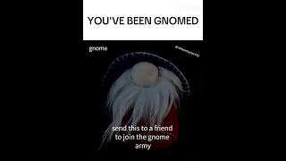 YOUVE BEEN GNOMED gnome gnomed funny memes [upl. by Yrroc604]