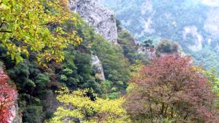 FOLIAGE  LA MAGIA DELLAUTUNNO  Full HD [upl. by Larimore57]