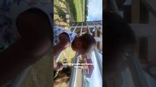 Armani’s daily vlog 🚜🧑‍🌾👨‍🌾 vlog windsor farming unfilteredtruth workingmomlife fyp [upl. by Drahnreb47]