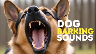 Dogs Barking Sound Effects  Angry Dogs Barking Sound Effects [upl. by Lalittah]