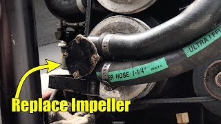 How To Johnson Pump Crank Mounted Impeller Change [upl. by Namurt646]