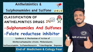 Anthelmintics  Classification of Anthelmintics  Sulfonamide and sulfone  SAR of Sulphonamides [upl. by Jennee]