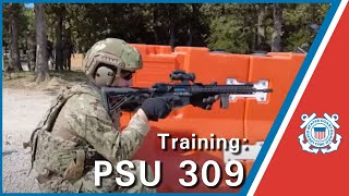 Coast Guard PSU 309 training [upl. by Asirak]