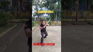 Arnis tutorial for beginners  arnis kali eskrima [upl. by Eikcir250]