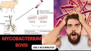 mycobacterium microbiology lecture mycobacterium bovis Easy Microbiology [upl. by Yeltneb122]