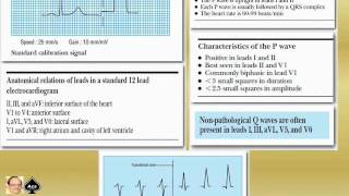 ECG tutorial Basic principles of ECG analysis Pediatric ECG 001 [upl. by Leboff]