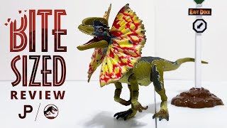 Mattel Amber Collection Dilophosaurus  Jurassic World Action Figure Review  collectjurassiccom [upl. by Vories]