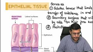 MBBS 1st Year General Histology Lecture 2 [upl. by Odlaniger]