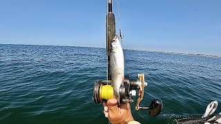 Fishing LIVE MULLET Off The Beach Troll amp Drift [upl. by Garrett]