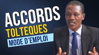 Les 4 Accords Toltèques  Mode dEmploi [upl. by Pelage]