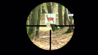 Docter Classic 2510x48 reticle 4 subtensions [upl. by Margalit]