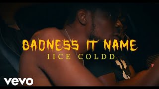 iice coldd  Badness it name Official Audio [upl. by Nylassej]