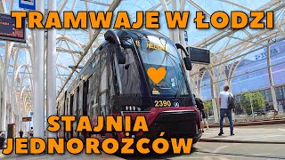 Tramwaje Łódź  Stajnia Jednorożców [upl. by Arther]