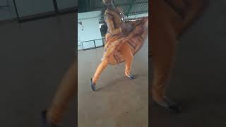 Mamitha reelspractice timedance💃💃ello jinujinugo💃💃 [upl. by Natan667]