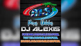 Banda MS  Puras Dolidas Mix   DJ Alexis [upl. by Dagmar]