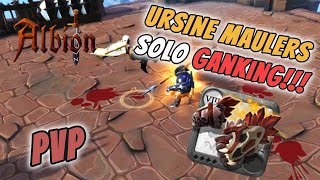 URSINE MAULERS SOLO GANKING  ALBION ONLINE AVA ROADS GANKING [upl. by Gati]