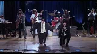 The Blues Brothers  Everybody Needs Somebody To Love [upl. by Balough]