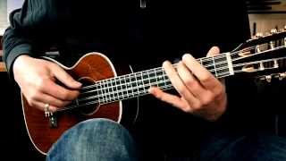 LANIKAI LU8E  8StringUkuleleDemo Part 2  FingerstyleSong [upl. by Lipfert]