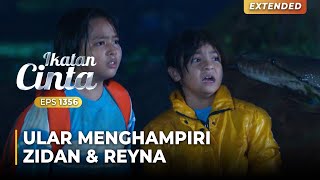 NGERI BANGET Zidan amp Reyna Ingin Digigit Ular  IKATAN CINTA  EPS1356 14 [upl. by Atwater]