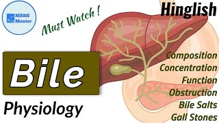 Bile  Composition amp Function  Gastric Physiology [upl. by Eirrod]