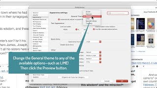 Interface Themes New in Accordance 13 [upl. by Erbma]