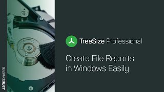 How to Create File Reports in Windows  TreeSize  JAM Software [upl. by Anyer]