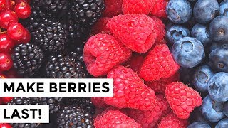 How to Keep Berries Fresher Longer  How to Wash Berries so They Last [upl. by Joyce]