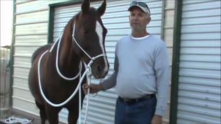 Ironless Horse quotQquot Bitless Rope Bridle Trail Demonstration [upl. by Richelle]