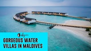 Gorgeous Water Villas At Westin Maldives  Miriandhoo Resort  Curly Tales [upl. by Anavahs]