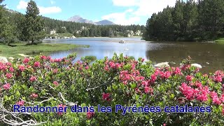 Randonner dans les Pyrénées catalanes [upl. by Portwine727]