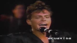 Luis Miguel  Será Que No Me Amas  Venezuela 1990 [upl. by Dianthe342]