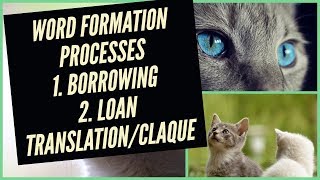 What is Borrowing  Loan Translation  Calque  Word Formation Processes  UrduHindi [upl. by Oirasan474]