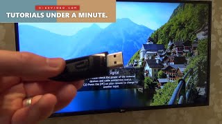 How To Use a USB Drive on a LG TV [upl. by Yursa]