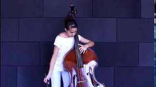 Domenico Dragonetti Double Bass concerto  MOV I [upl. by Eanehs]