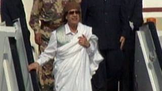 Moammar Gadhafi Death of a Dictator [upl. by Feigin335]