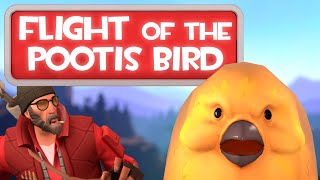 TF2  Pootis Bird Documentary Episode 2 Flight of the Pootis Bird [upl. by Jorry]