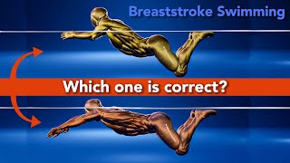 Breaststroke Swimming  The 5 most important things [upl. by Schmitt]