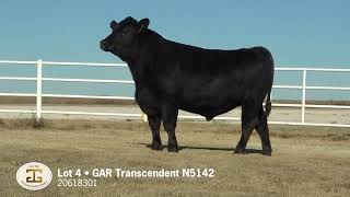 Lot 4 G A R Transcendent N5142 [upl. by Deena]