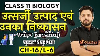 अपोहन  Dialysis  वृक्क विकृतियाँ Kidney Disorder  11th Bio Excretory Products and Elimination [upl. by Ajin]