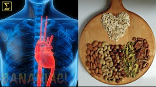 Nuts Seeds amp Avocados Healthy for CVD  Caldwell Esselstyn MD [upl. by Barrie]