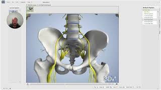 Understanding Sacroiliac Joint Sprain Strain Treatment 🦴 [upl. by Malaspina]