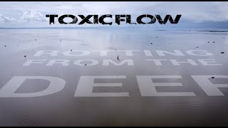 Toxic Flow Rotting from the deep  PART ONE [upl. by Adyela290]