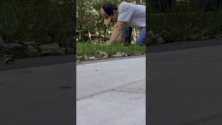 Quick cuts landscaping landscape construction bluecollar lawncare concrete [upl. by Pruchno958]